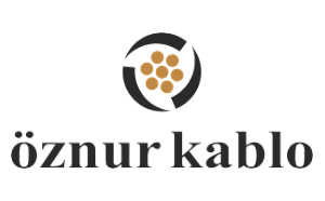İzba Elektrik
